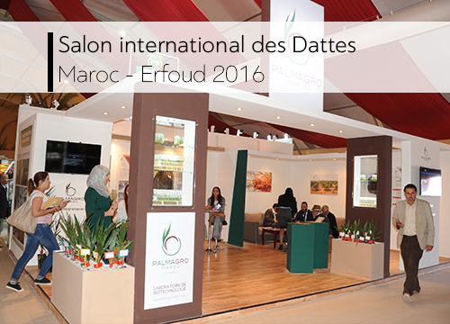 Salon des dattes _ Erfoud 2016